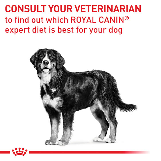 ROYAL CANIN® Veterinary Diet Canine Mature Consult Large Dogs Dry Dog Food