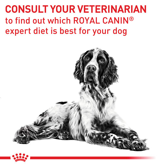 ROYAL CANIN® Veterinary Diet Canine Mature Consult Medium Dogs Dry Dog Food