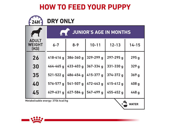 ROYAL CANIN® Veterinary Diet Canine Neutered Junior Large Dry Dog Food