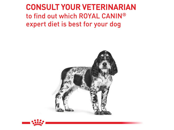 ROYAL CANIN® Veterinary Diet Canine Neutered Junior Medium Dry Dog Food