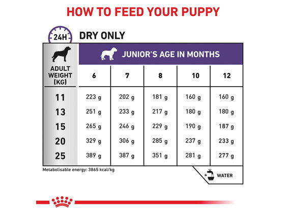 ROYAL CANIN® Veterinary Diet Canine Neutered Junior Medium Dry Dog Food