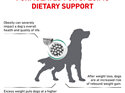 ROYAL CANIN® Veterinary Diet Canine Satiety Weight Management Dry Dog Food