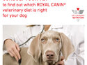 ROYAL CANIN® VETERINARY DIET Cardiac Adult Wet Dog Food Cans 12 x 410g