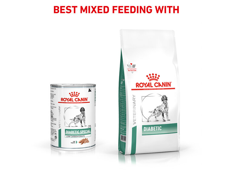 ROYAL CANIN® VETERINARY DIET Diabetic Adult Wet Dog Food 12 x 410g