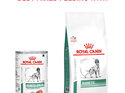 ROYAL CANIN® VETERINARY DIET Diabetic Adult Wet Dog Food 12 x 410g