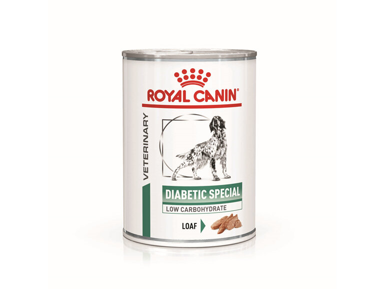 ROYAL CANIN® VETERINARY DIET Diabetic Adult Wet Dog Food 12 x 410g