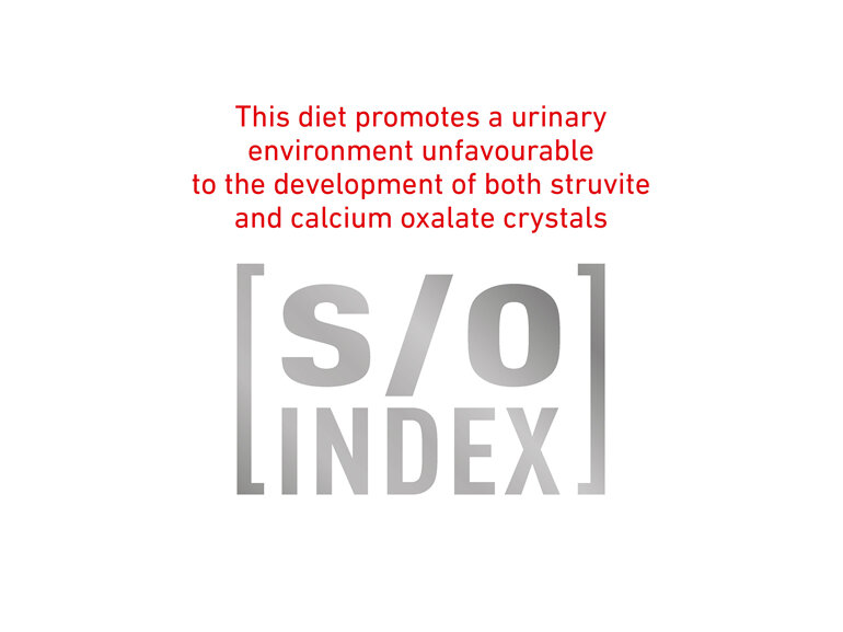 ROYAL CANIN® VETERINARY DIET Diabetic Adult Wet Dog Food 12 x 410g