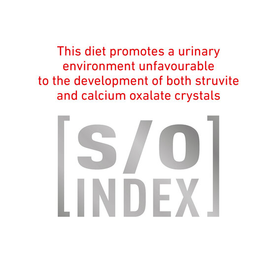 ROYAL CANIN® VETERINARY DIET Diabetic Adult Wet Dog Food 12 x 410g