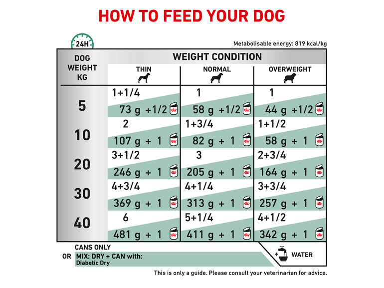 ROYAL CANIN® VETERINARY DIET Diabetic Adult Wet Dog Food 12 x 410g