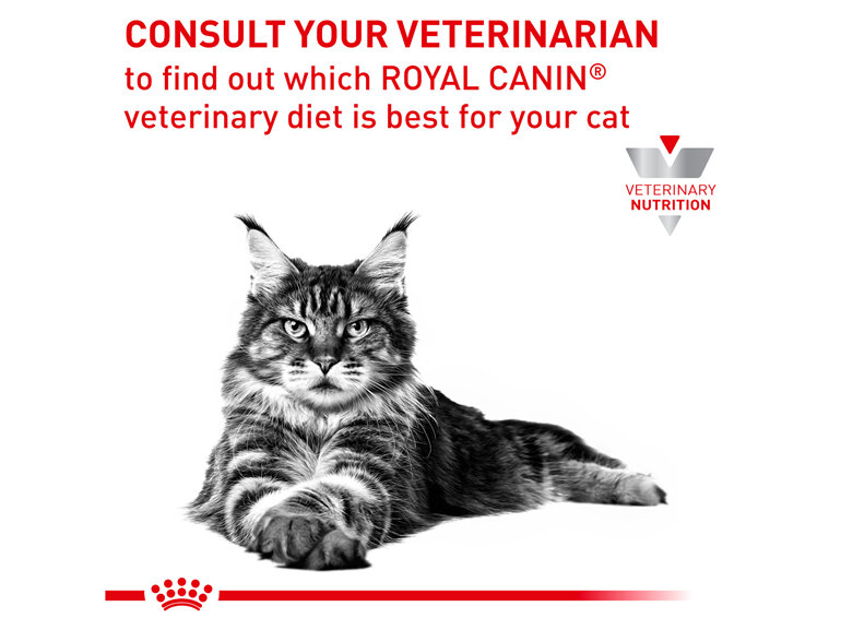 ROYAL CANIN® Veterinary Diet Feline Anallergenic Dry Cat Food