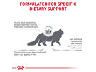 ROYAL CANIN® Veterinary Diet Feline Hypoallergenic Dry Cat Food