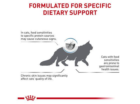 ROYAL CANIN® Veterinary Diet Feline Hypoallergenic Dry Cat Food