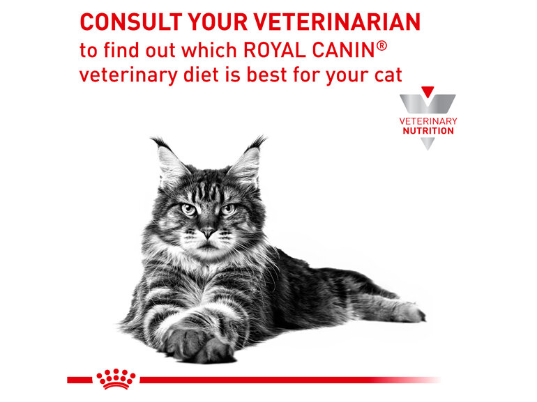 ROYAL CANIN® Veterinary Diet Feline Hypoallergenic Dry Cat Food