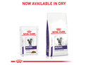 ROYAL CANIN® Veterinary Diet Feline Neutered Balance Pouch Wet Cat Food 12 x 85g