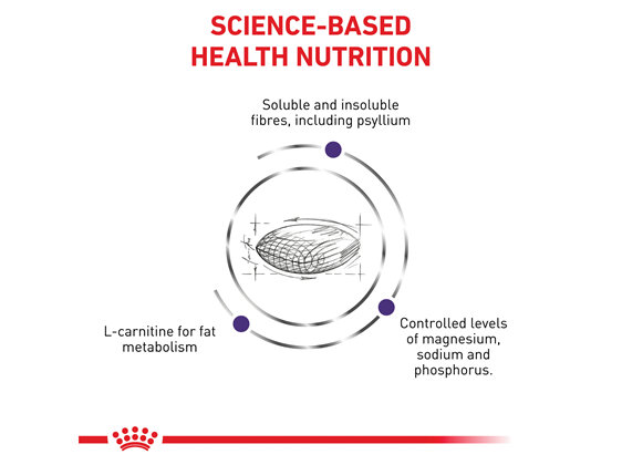 ROYAL CANIN® Veterinary Diet Feline Neutered Satiety Balance Dry Cat Food