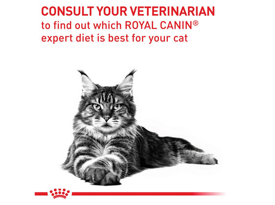 ROYAL CANIN® Veterinary Diet Feline Neutered Satiety Balance Dry