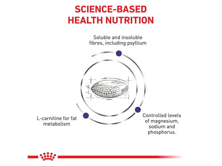 ROYAL CANIN® Veterinary Diet Feline Neutered Satiety Balance Dry Cat Food