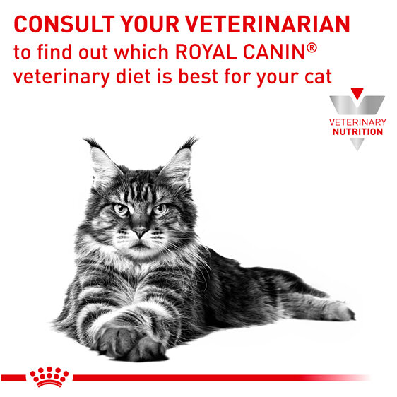 ROYAL CANIN® Veterinary Diet Feline Renal Dry Cat Food