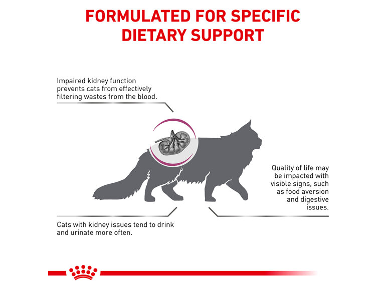 ROYAL CANIN® Veterinary Diet Feline Renal Dry Cat Food