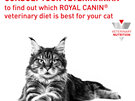 ROYAL CANIN® Veterinary Diet Feline Renal Dry Cat Food