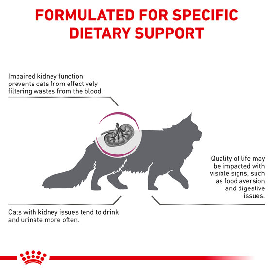 ROYAL CANIN® Veterinary Diet Feline Renal Dry Cat Food