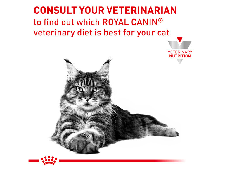 ROYAL CANIN® Veterinary Diet Feline Renal Dry Cat Food