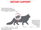 ROYAL CANIN® Veterinary Diet Feline Renal Dry Cat Food