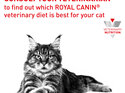 ROYAL CANIN® Veterinary Diet Feline Renal Dry Cat Food