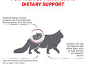 ROYAL CANIN® Veterinary Diet Feline Renal Dry Cat Food