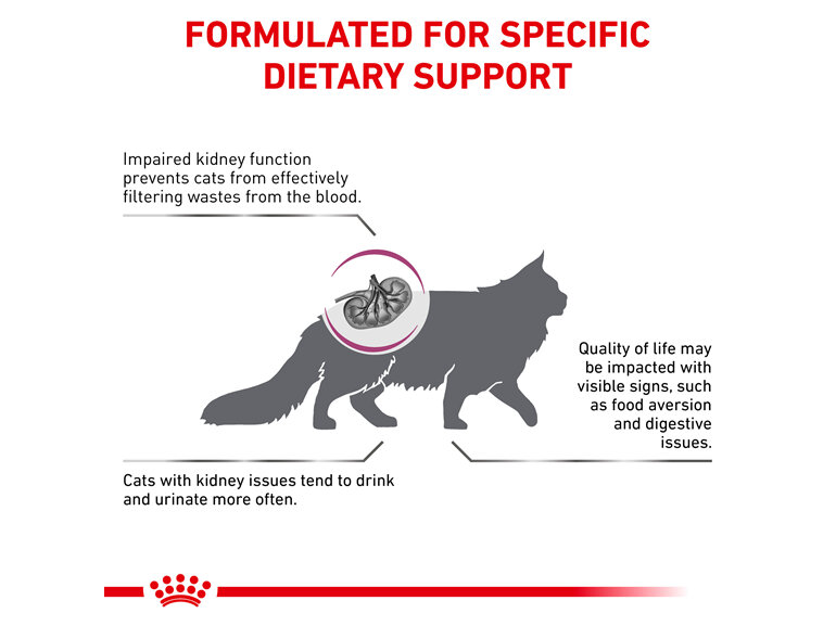 ROYAL CANIN® Veterinary Diet Feline Renal Select Dry Cat Food