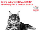 ROYAL CANIN® Veterinary Diet Feline Renal Select Dry Cat Food