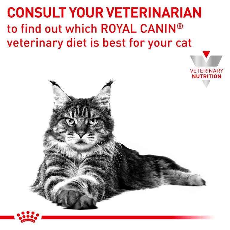 ROYAL CANIN® Veterinary Diet Feline Renal Select Dry Cat Food