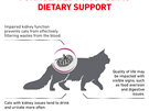 ROYAL CANIN® Veterinary Diet Feline Renal Select Dry Cat Food