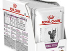 ROYAL CANIN® Veterinary Diet Feline Renal with Chicken Pouch Wet Cat Food 12 x 85g