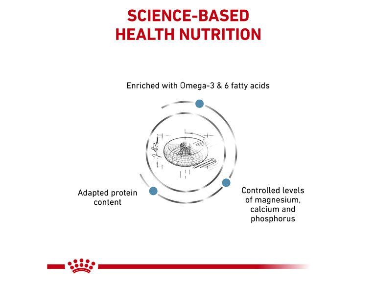 ROYAL CANIN® Veterinary Diet Feline Skin & Coat Dry Cat Food