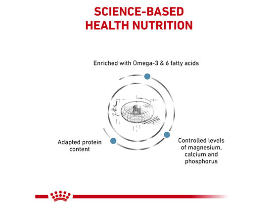 ROYAL CANIN® Veterinary Diet Feline Skin & Coat Dry Cat Food