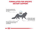 ROYAL CANIN® Veterinary Diet Feline Skin & Coat Dry Cat Food