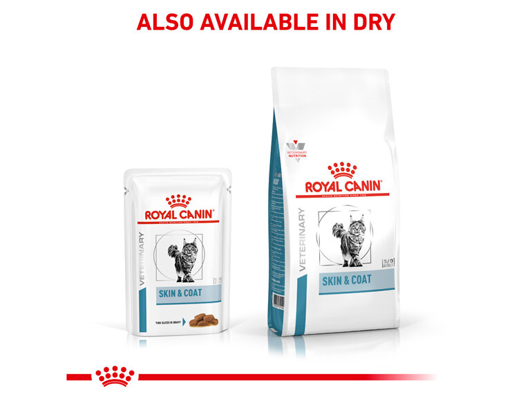 ROYAL CANIN® Veterinary Diet Feline Skin & Coat Pouch Wet Cat Food 12 x 85g
