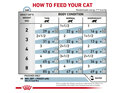 ROYAL CANIN® Veterinary Diet Feline Skin & Coat Pouch Wet Cat Food 12 x 85g