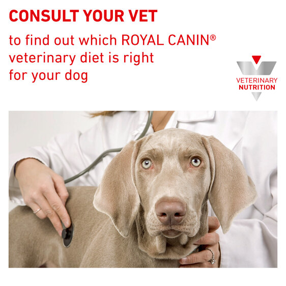 ROYAL CANIN® VETERINARY DIET Hepatic Adult Dry Dog Food