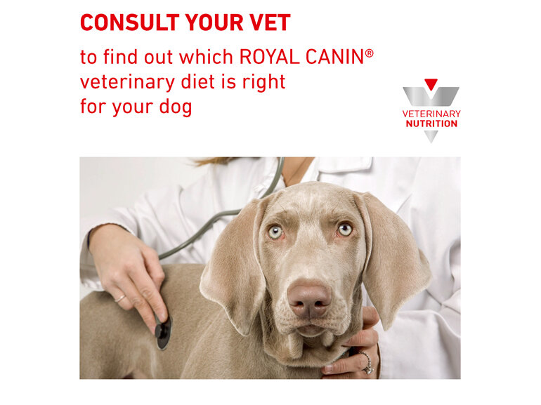 ROYAL CANIN® VETERINARY DIET Hepatic Adult Dry Dog Food