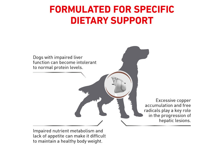 ROYAL CANIN® VETERINARY DIET Hepatic Adult Dry Dog Food