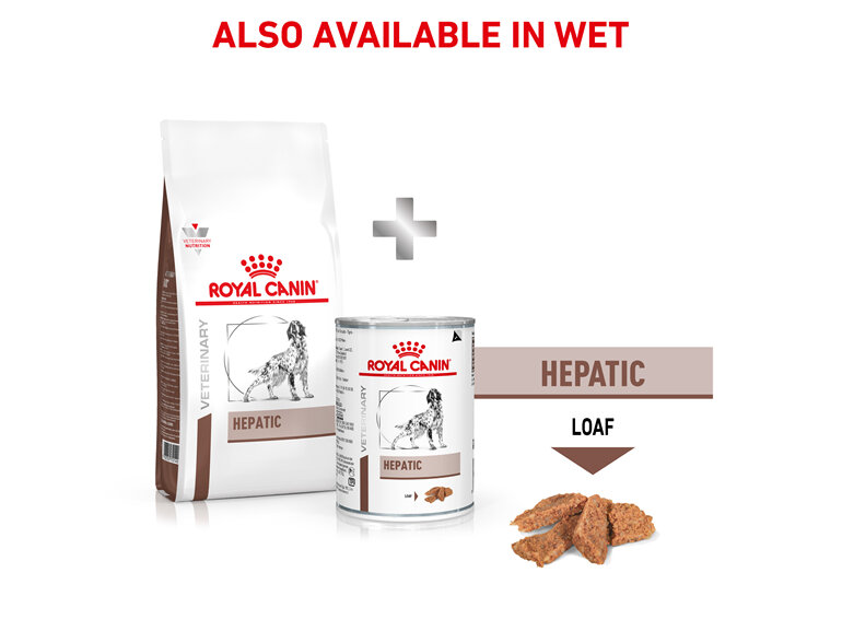 ROYAL CANIN® VETERINARY DIET Hepatic Adult Dry Dog Food