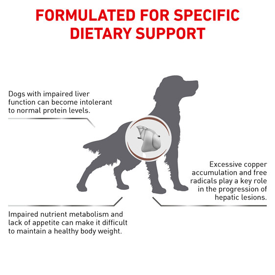 ROYAL CANIN® VETERINARY DIET Hepatic Adult Dry Dog Food