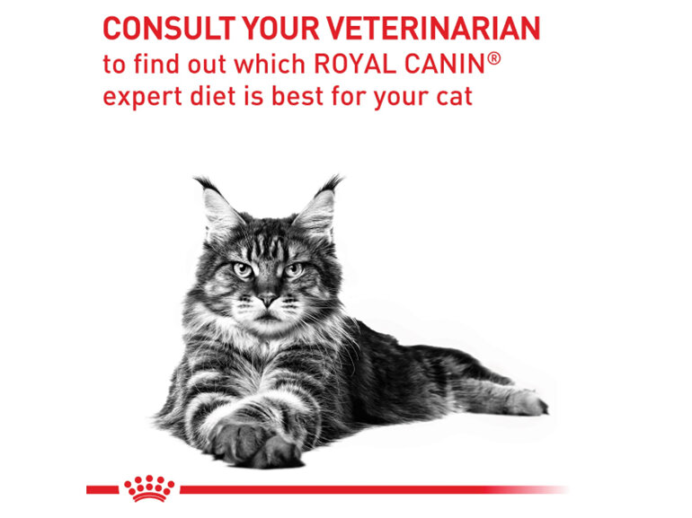 ROYAL CANIN® Veterinary Diet Mature Consult Feline Dry Cat Food