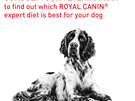 ROYAL CANIN® Veterinary Diet Neutered Adult Medium Dog Dry Dog Food