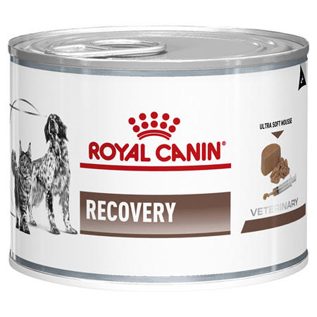ROYAL CANIN® VETERINARY DIET Recovery Adult Wet (Cat & Dog) Food Cans 12 x 195g
