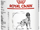 ROYAL CANIN® Veterinary Diet Renal Wet Canine Wet Dog Food 410g