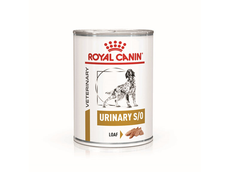 ROYAL CANIN® VETERINARY DIET Urinary Adult Wet Dog Food Cans 12 x 410g