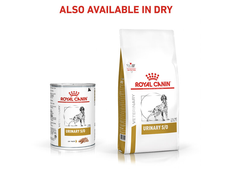 ROYAL CANIN® VETERINARY DIET Urinary Adult Wet Dog Food Cans 12 x 410g